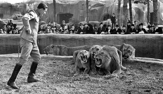 Dompteur au zoo de Vincennes. Paris